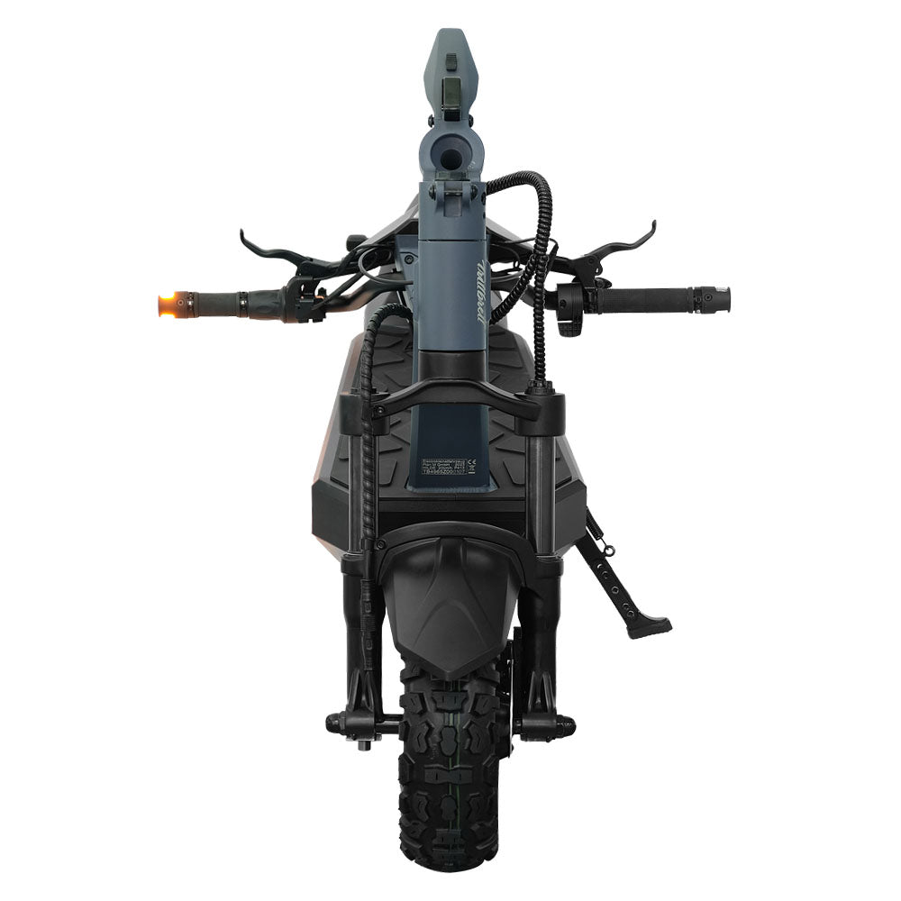 Trittbrett Hilde - Dual Motor
